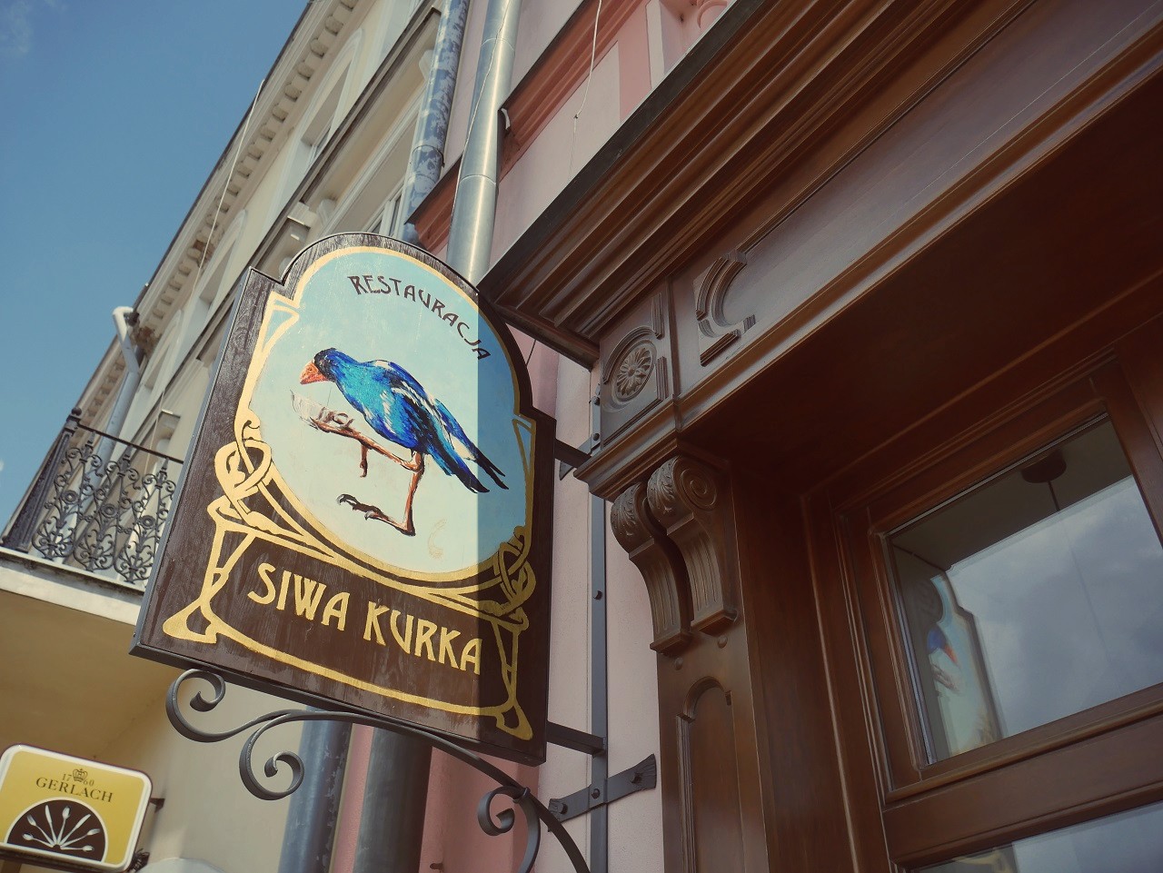 Siwa Kurka w Jarosławiu